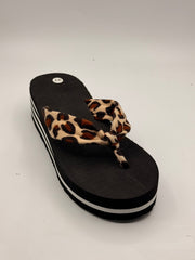 כפכף אצבע מנומר