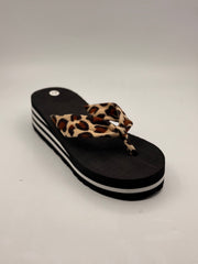 כפכף אצבע מנומר